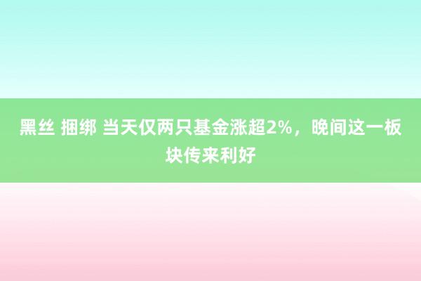黑丝 捆绑 当天仅两只基金涨超2%，晚间这一板块传来利好