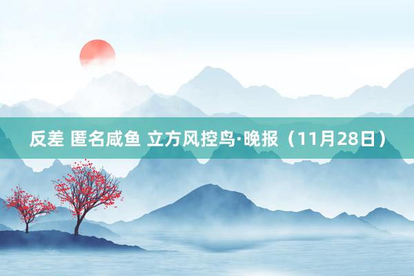 反差 匿名咸鱼 立方风控鸟·晚报（11月28日）