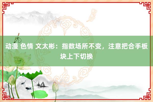 动漫 色情 文太彬：指数场所不变，注意把合手板块上下切换