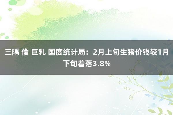 三隅 倫 巨乳 国度统计局：2月上旬生猪价钱较1月下旬着落3.8%